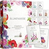 Blumen Samen Set - 10 bunte Blumensamen Sorten für den Garten oder Balkon, die Bienenweide und...