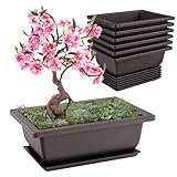 Forhandy 6 Stück Bonsai Schale, Wiederverwendbar Bonsai Topf mit Tabletts, 16.5x12x6cm Bonsaischale...