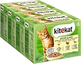 Kitekat Katzenfutter Geflügel-Allerlei in Gelee, 48 Beutel (2 x 24 x 85g)