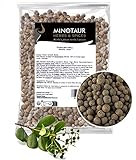 Minotaur Spices | Piment ganz, Pimentkörner | 2 x 250g (500g)