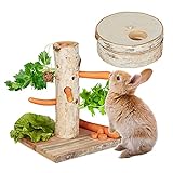 Relaxdays Kaninchen Spielzeug, 2tlg. Set, Futterbaum & Intelligenzspielzeug, Holz, Zubehör...