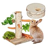 Relaxdays Kaninchen Spielzeug, 2tlg. Set, Futterbaum & Intelligenzspielzeug, Holz, Zubehör...