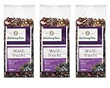 Bünting Tee Waldfrucht, 200g loser Tee, 3er Pack