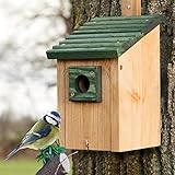 Zooprinz Nistkasten für Wildvögel – Massiv- Holz Vogelhäuschen mit sicherem Schutz gegen...