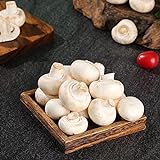 300 Pilze Samen Kaufen White Button Mushroom Pilzsamen Stauden Champignons WeißE Pilz-Samen Eigene...