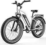 Himiway Cruiser E-Bike Herren Damen mit 250W Motor 25 Km/h, E-Mountainbike mit 48V 17,5Ah 840Wh...