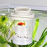 Aufzuchtbecken Aquarium, Schwimmender Ablaichkasten Aquarium Kunststoff Doppelstöckiger Aquarien...