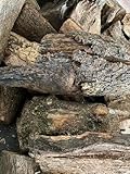 Mugar Brennholz aus getrocknetem Encino, bereit zum Anzünden von Kaminen und Grills, kontrolliertes...