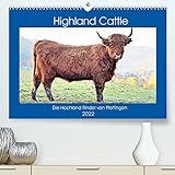 Highland Cattle, die Hochlandrinder aus Pfeffingen (Premium, hochwertiger DIN A2 Wandkalender 2022,...