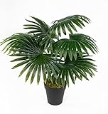 Seidenblumen Roß Fächerpalme Real Touch 40/50cm im Topf ZJ Kunstpflanze künstliche Palme...