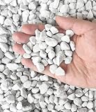 50 QT professioneller Bio-Vermiculit und Perlit für den Gartenbau (große Größe – Perlit, 50...