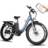 Skivogr City E Bike, Fatbike 26' x 4.0, 48V 30Ah Akku Elektro Mountainbike, Elektrofahrräder...