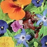 Essbare Blütenmischung | 250g - 125m2 | 7 Sorten essbare Blüten | Teeblüten, Blumensalat und...