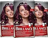 Brillance Intensiv-Color-Creme 859 Violette Wildseide Stufe 3 (3 x 160 ml), dauerhafte Haarfarbe mit...