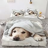 phonxia Bettwäsche 135x200 Kinder Labrador Garten Bettbezug mit Reißverschluss Weiche Mikrofaser...