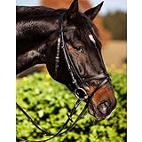 Kerbl 32172 Trensen-Zaum Standard Leder für Warmblut, schwarz