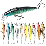 10 Stück Wobbler Kunstköder Set, Angelköder Kunstköder, Fishing Lures, Hecht Angelköder, Soft...