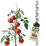 BigDean 10 Tomatenspiralstäbe 110cm voll verzinkt Tomatenstab Tomaten Ranke Pflanzstab Stahl Profi...