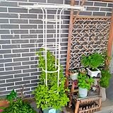 Rankgitter für Kletterpflanzen, vertikal, Metall, Obeliskenturm, 90 cm, 210 cm, Blumenstütze für...