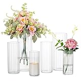 Glaszylinder Glasvase Windlicht Glas mit Boden - Romadedi 6Pcs Kerzenständer Zylinder für...