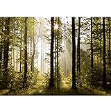 Fototapeten 396 x 280 cm Wald Landschaft Sonne | Vlies Wanddekoration Wohnzimmer Schlafzimmer |...
