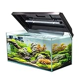 VIALIA Aquarium rechteckig mit Juwel LED Abdeckung schwarz 60x30x30 cm, 54 Liter, Glasbecken für...