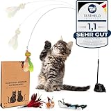 KASPARINO Katzenangel stabil - Katzenspielzeug Angel mit Federn, Vogel & Saugnapf -...