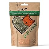 Just Catnip - 100% natürliche Katzenminze für Katzen, angebaut in Südafrika | Nachhaltig...