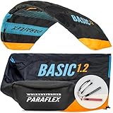 Wolkenstürmer® Paraflex Basic 2-Leiner Lenkmatte 1.2 (türkis) - Flugfertiger Kite Drachen -...