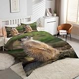 Generisch Bettwäsche 240x260 Marderhund Bettbezug Tiere Bettwäsche Sets, Weiche Mikrofaser...