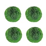 Mooskugeln für Aquarium,Natürliche Wasserpflanzen,8 Packung getränkte 1-1,5 Inch Aquarium...