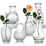 ZENFUN 6 Stück Glasvasen, 6 einzigartige Vintage-Stile, Mini-Tischblumenvasen, dekorative...