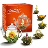 Creano Teeblumen Geschenkset - Erblühtee Frühjahrslese mit 500ml Glaskanne & 6x Weißer Tee - 7...