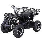 Actionbikes Motors Kinder Quad Elektro ATV Torino | 𝟑𝟔 Volt 𝟭𝟬𝟬𝟬 Watt Motor bis...