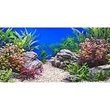 MIRRORANG 61x30cm Wasserpflanze Aquarium Hintergrund Stein Flussbett & See Aquarium Hintergrund...