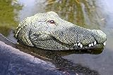 LB H&F Teichfigur Krokodil Kopf Schwimmtier Alligator Dekofigur Gartenfigur 24x12cm Tierfigur...