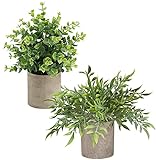 Kunstpflanze , 2 Kunstpflanzen, Kleine Pflanzen Künstlich in Töpfen - Schreibtisch Deko Pflanzen...