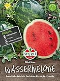81555 Sperli Premium Wassermelone Samen Mini Love | Schnellwachsend | Melonen Samen | Wassermelonen...