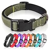 HEELE Hundehalsband, Hundehalsband aus Nylon, Reflektierend Halsband Hund mit Weich Neopren...