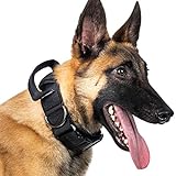 OneTigris K9-Halsband mit Metallschnalle für Hunde (Schwarz, L)