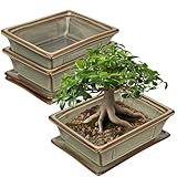 2er-Set Bonsai Keramiktopf Bonsaischale mit Untersetzer und Entwässerungslöchern für Japanische...