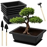 APOMOONS 6 Stück Bonsai Schale mit Untersetzer und Klein Gartenwerkzeug Set, 16.5x12x6cm...