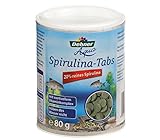 Dehner Aqua Fischfutter, Spirulina-Tabs, 90 Tabletten (80 g)