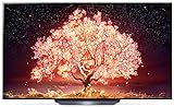 LG OLED65B19LA TV 164 cm (65 Zoll) OLED Fernseher (4K Cinema HDR, 120 Hz, Smart TV) [Modelljahr...