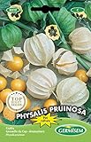 Germisem Physalis Edulis, mehrfarbig, EC8019