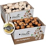 Hawlik Pilzbrut Champignon Pilzzuchtset Spar-Bundle– 2 kleine Zuchtboxen für Champignons –...