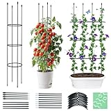 ThxToms Garten Rankhilfe aus Metall Kern 160CM mit 20*Pflanzenclips | Tomatenkäfig Pflanzenstütze...