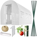 Plonos Folientunnel Gewächshaus Mit Rahmen Stahl Set Mit Pflanzenstützen Zubehör 2 x 3 x 2 m 6m2...