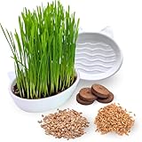 Green Mageo 4er Set Katzengras Samen - Gras Anzuchtset für Katzen - Gras zum Fressen für die Katze...