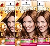 Country Colors Intensiv-Tönung 49 Cognac Haselnuss (3 x 123ml), Stufe 2, temporäre Haarfarbe für...